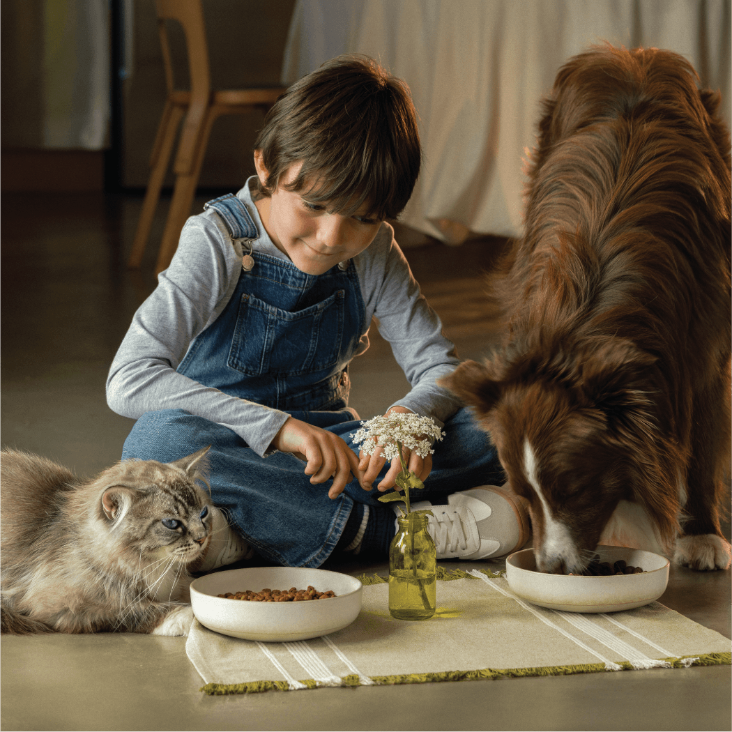 Banner immagine decorativa